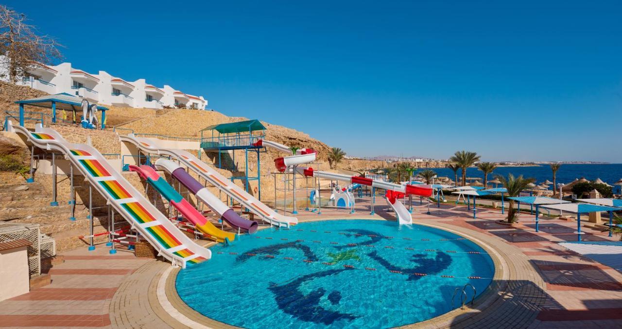 dreams beach 5 египет шарм эль шейх